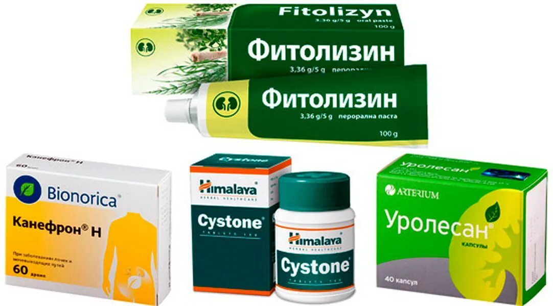 Можно ли пить канефрон при цистите. Цистон или фитолизин. аналог цистона. канефрон или фитолизин. уролесан и фитолизин.