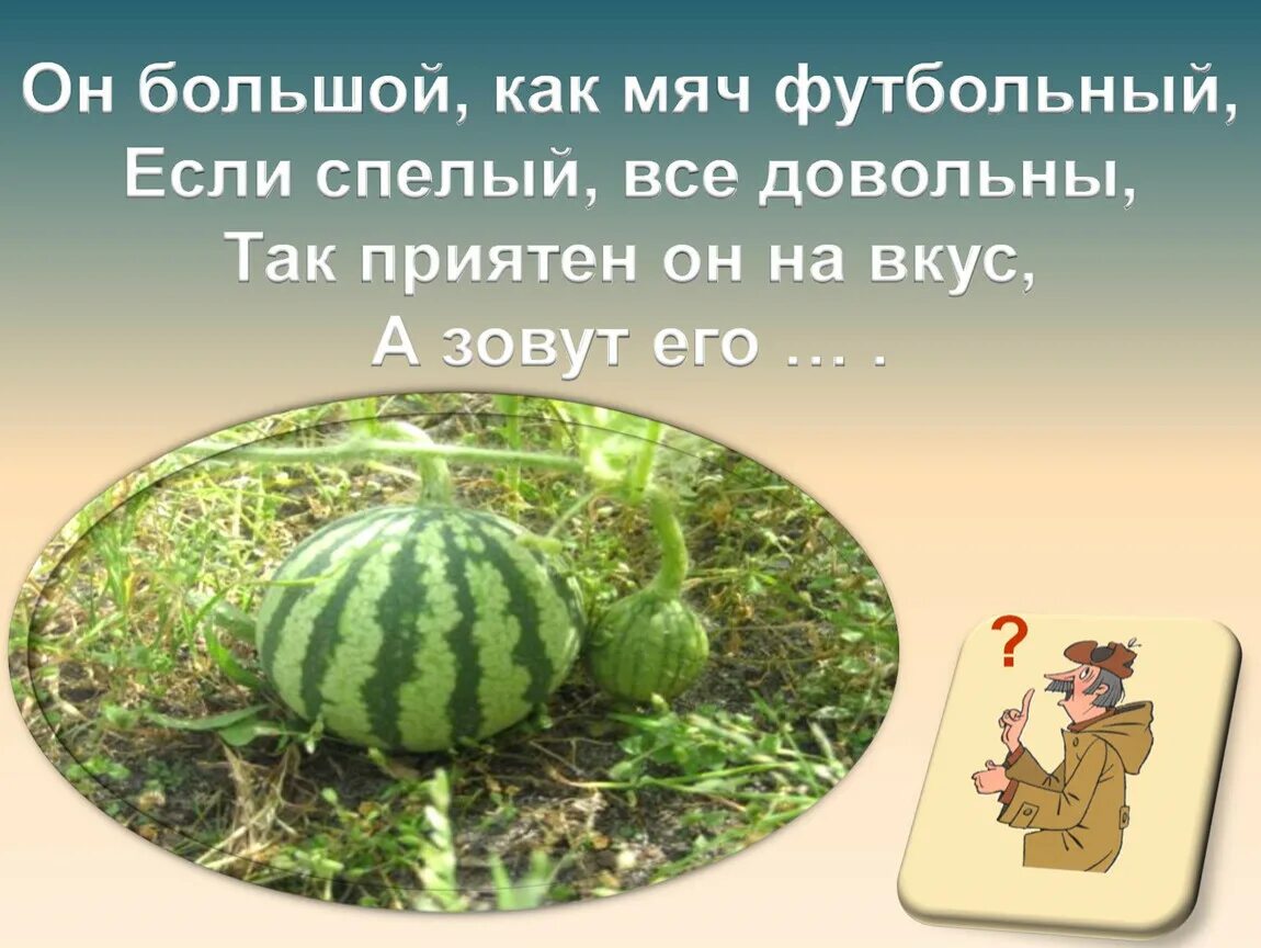 Арбуз прилагательное. Загадки про Арбуз. Он большой как мяч футбольный если спелый все довольны. Загадка про Арбуз 1 класс. Загадка про Арбуз для детей.