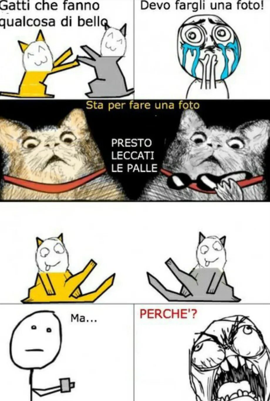 Мемы про котят. Мемы комиксы. Мемы с котами. Мем комикс. Котики смешные мемы.