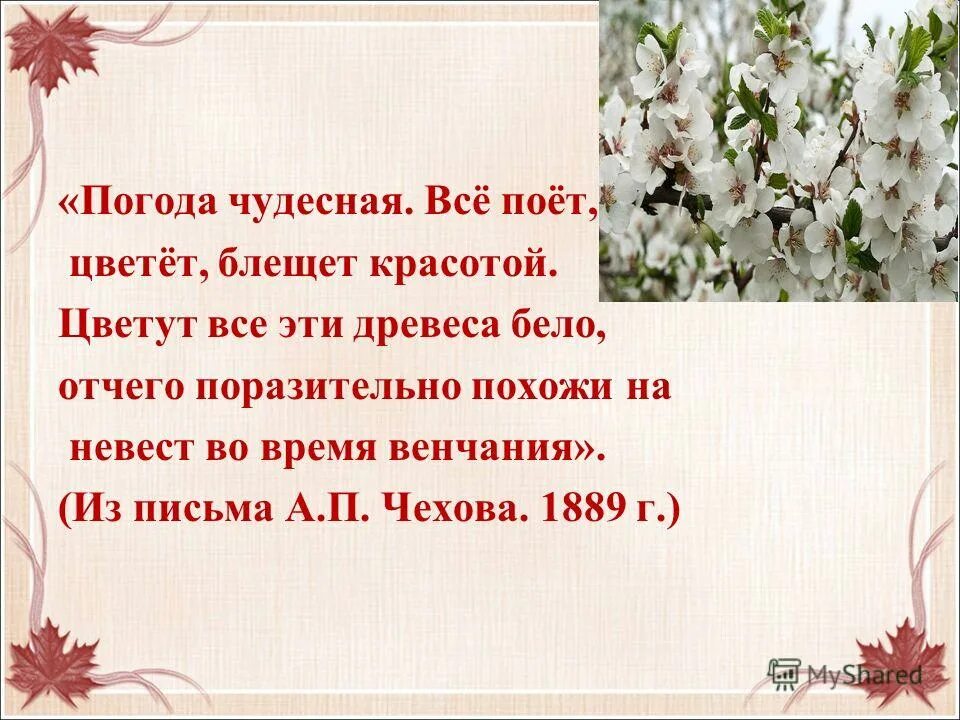 смысл названия пьесы вишневый сад чехова