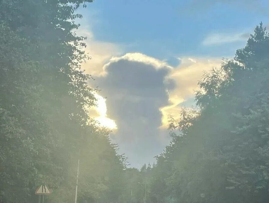 Анатолий королёв певец могила. Облако похожее на елизавету 2. Пасмурное небо. Облака королев. Тучи королев.