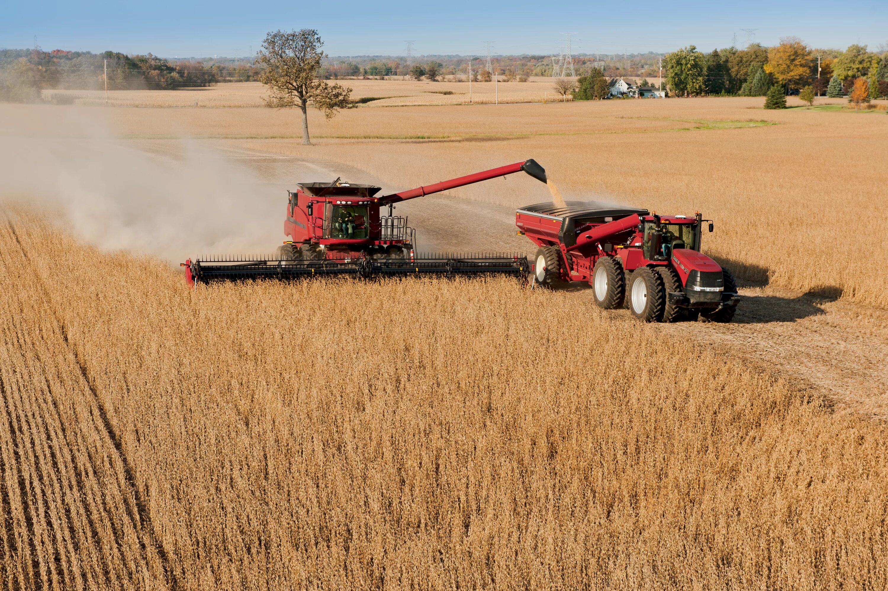 Case Axial Flow 9230. Case IH Axial Flow 5140. Машины для уборки урожая. Комбайн убирает пшеницу.