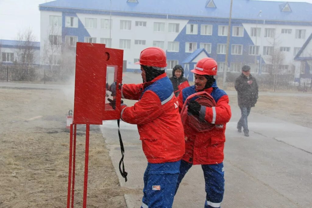 Россети северный рэс. Директор чеченэнерго в грозном. Россети северный рэс. Россети северный рэс. Россети и ао рэс.