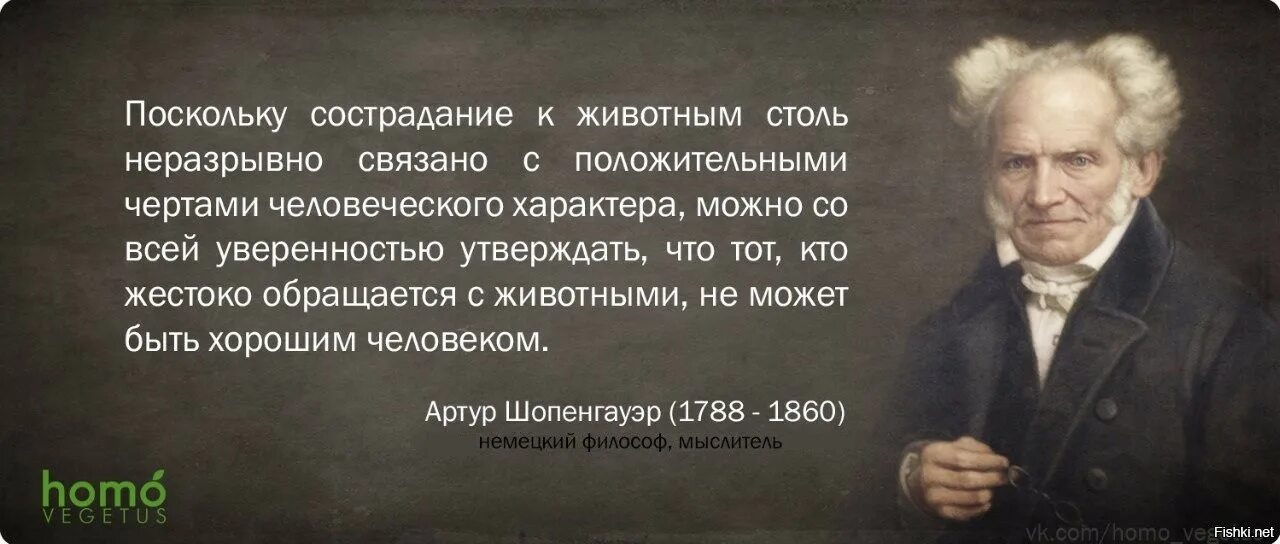 Шопенгауэр о жизни