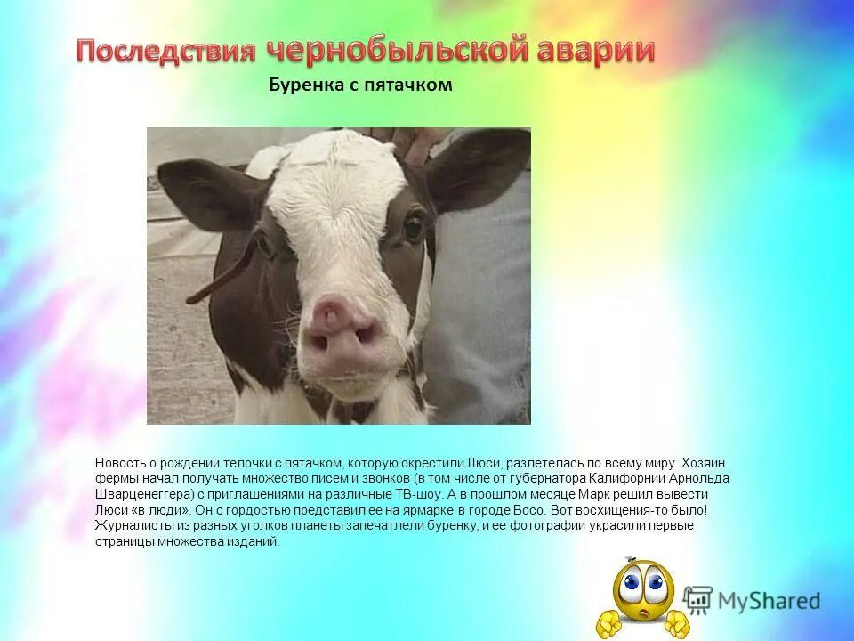 какие последствия чернобыльской катастрофы. последствия чернобыля кратко. чернобыль аэс авария последствия. чернобыльская катастрофа радиация. последствия чернобыльской катастрофы презентация.