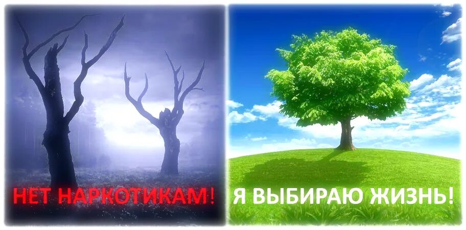Который просто выбирает быть
