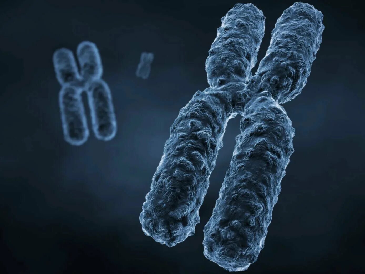 Вторая х хромосома. Хромосома. Хромосомы человека под микроскопом. Генетика хромосомы. Х И У хромосомы.