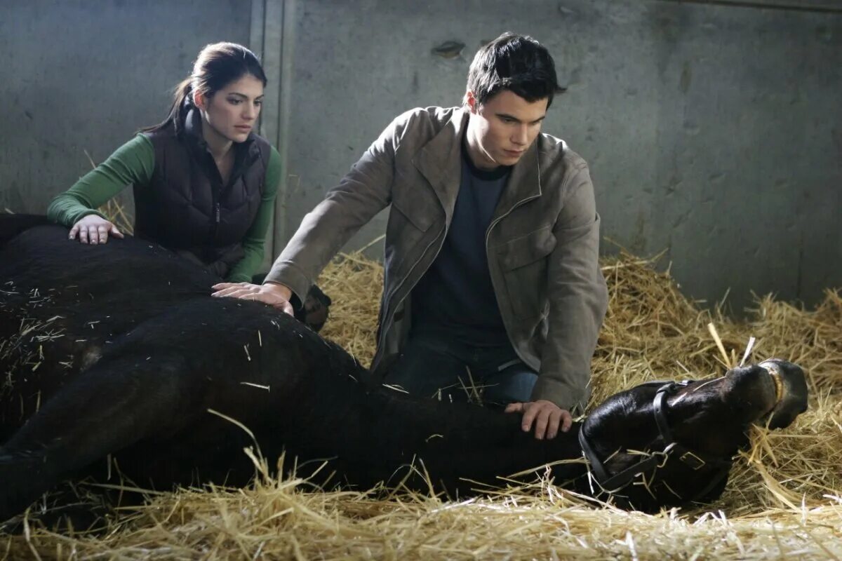 дикий когда выходит