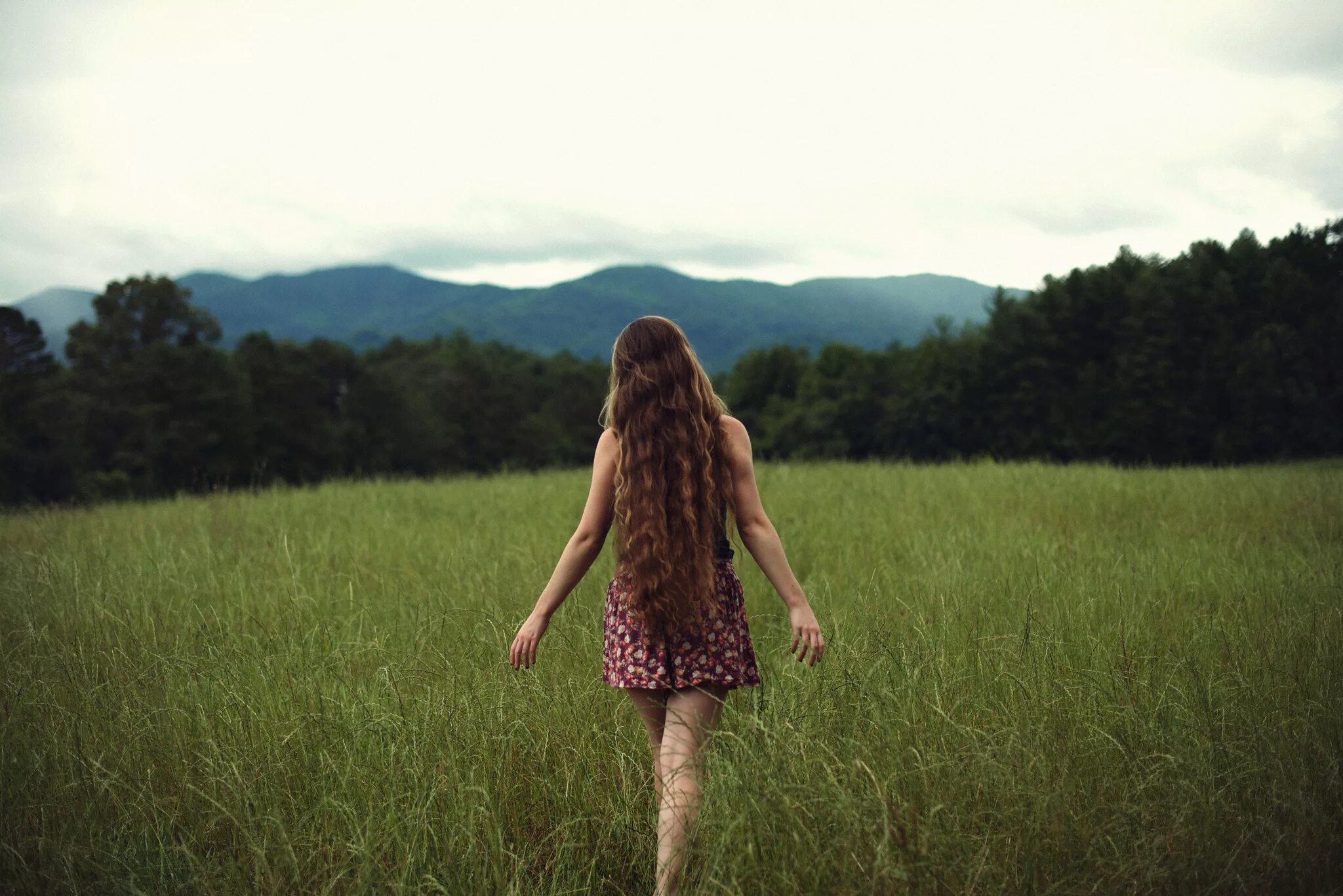 Стоящие картинки. Девушка на природе. Девушка с длинными волосами на природе. Девушка на природе со спины. Девочка на природе спиной.