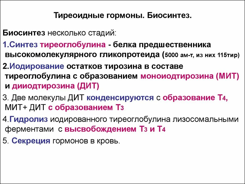 Использование йода для синтеза гормонов. Синтез гормонов щитовидной железы схема. Этапы синтеза гормонов щитовидной железы. Основные этапы биосинтеза йодированных гормонов щитовидной железы. Этапы синтеза тиреоидных гормонов.