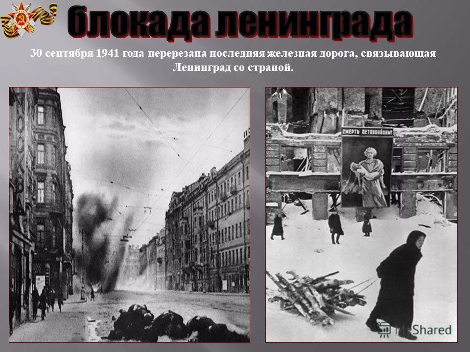 вилиус петраускас. вопросы по викторине блокада ленинграда. юстинианова чума. блокада ленинграда дорога жизни. юстинианова чума и черная смерть.