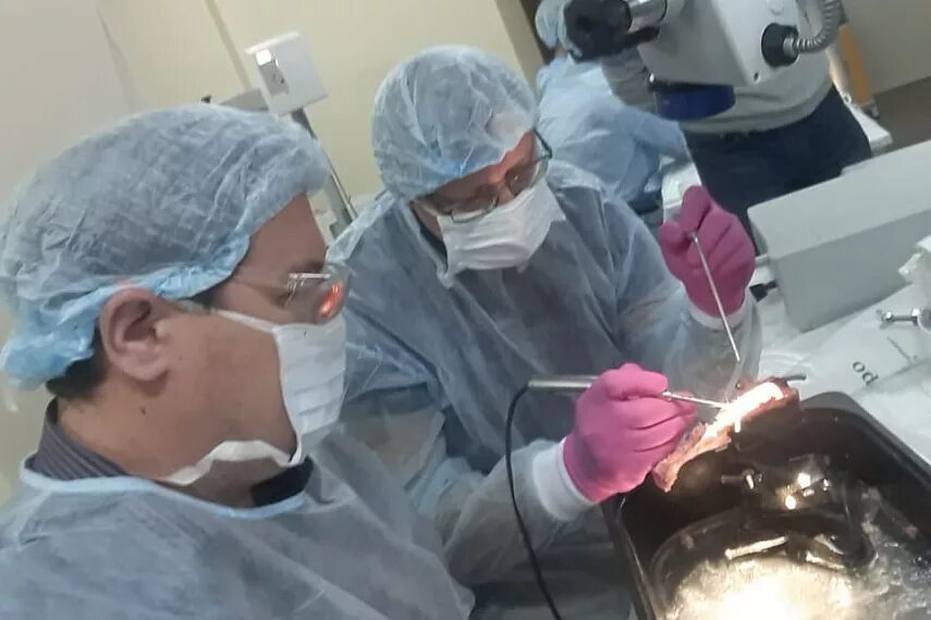 григорян григорий аркадьевич нейрохирург. нейрохирурги краевой больницы красноярска. краевая клиническая больница красноярск нейрохирургия. красноярская краевая больница отделение нейрохирургии. нейрохирургия барнаул ляпидевского 1.