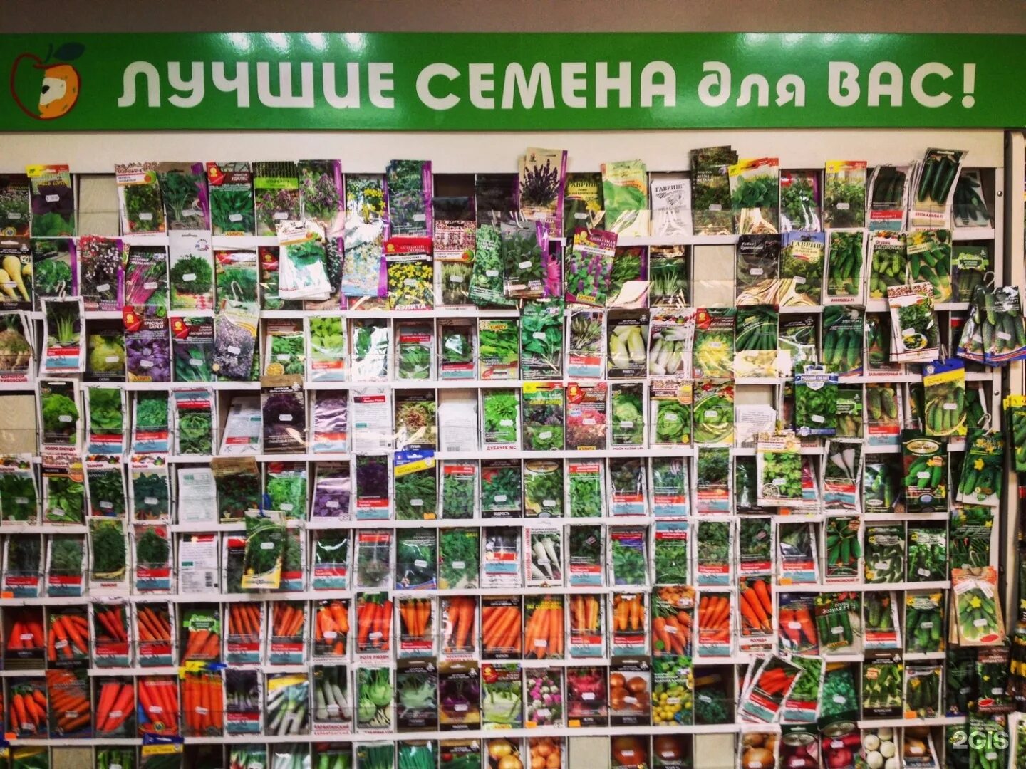 мир зеленого цвета. экологически чистая планета. всемирный день окружающей среды. зеленый мир интернет магазин москва. зеленый мир.