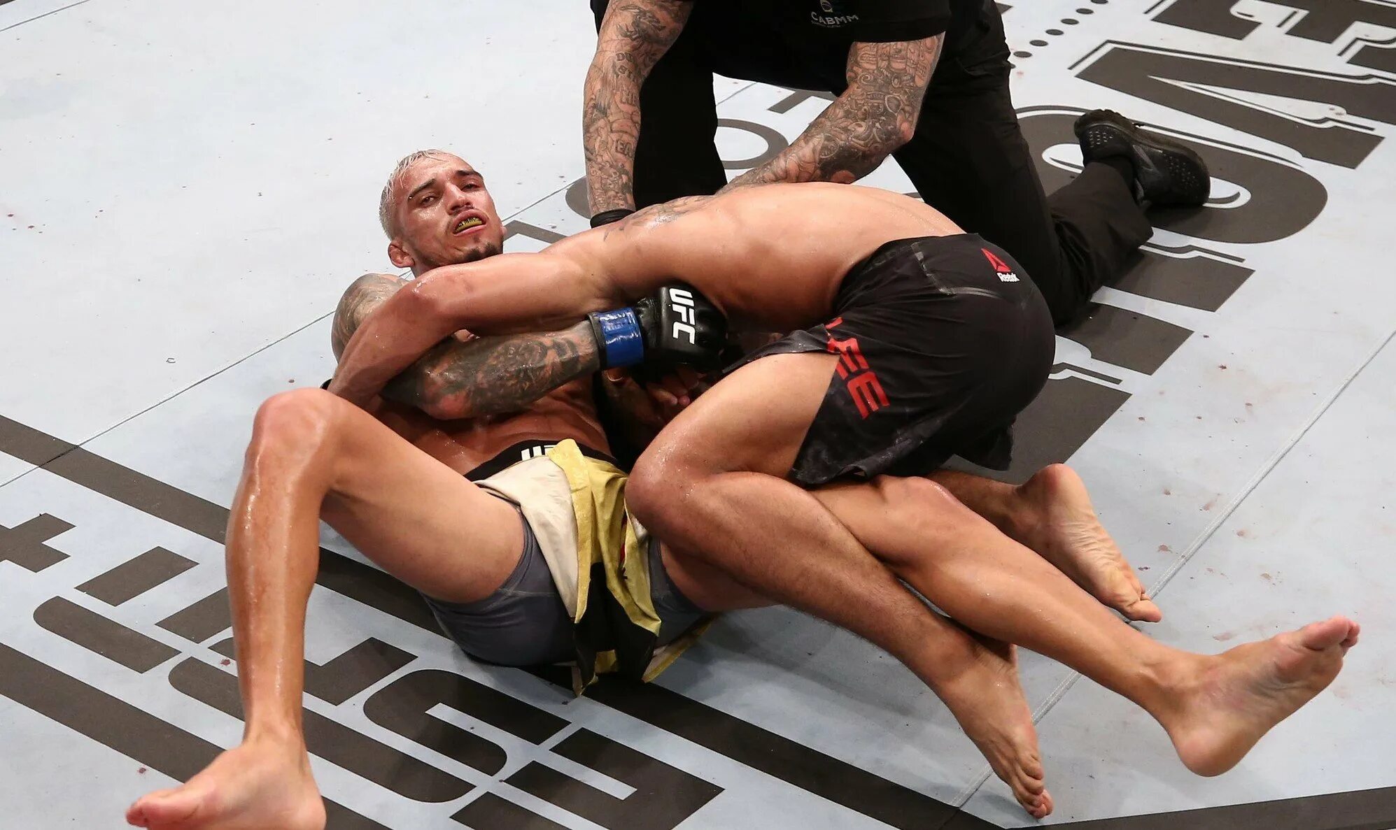 Марк хант фрэнк мир. Аниа лурченкова грузия мма. Мма стал. Prime мма. Виктор генри мма.