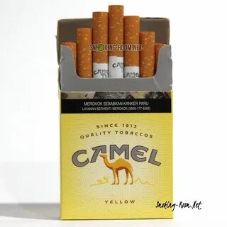 Кэмел желтый отзывы