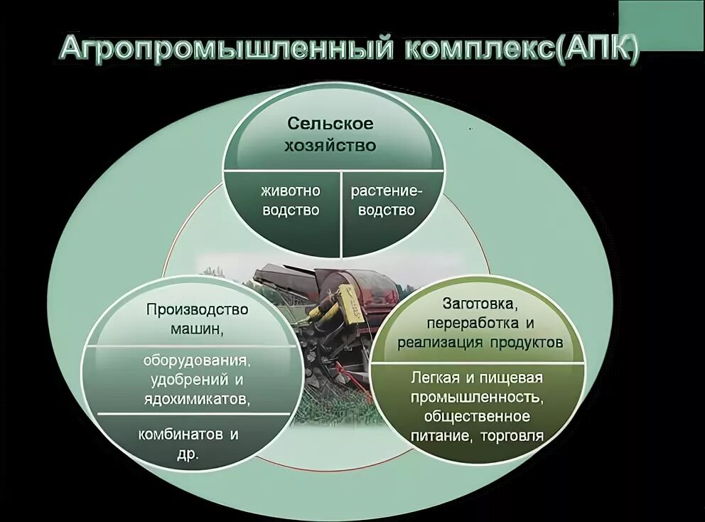 Изменение решения апк. Структура агропромышленного комплекса России. Структура агропромышленного комплекса (АПК).. Отраслевая структура агропромышленного комплекса. Агропромышленный комплекс схема.