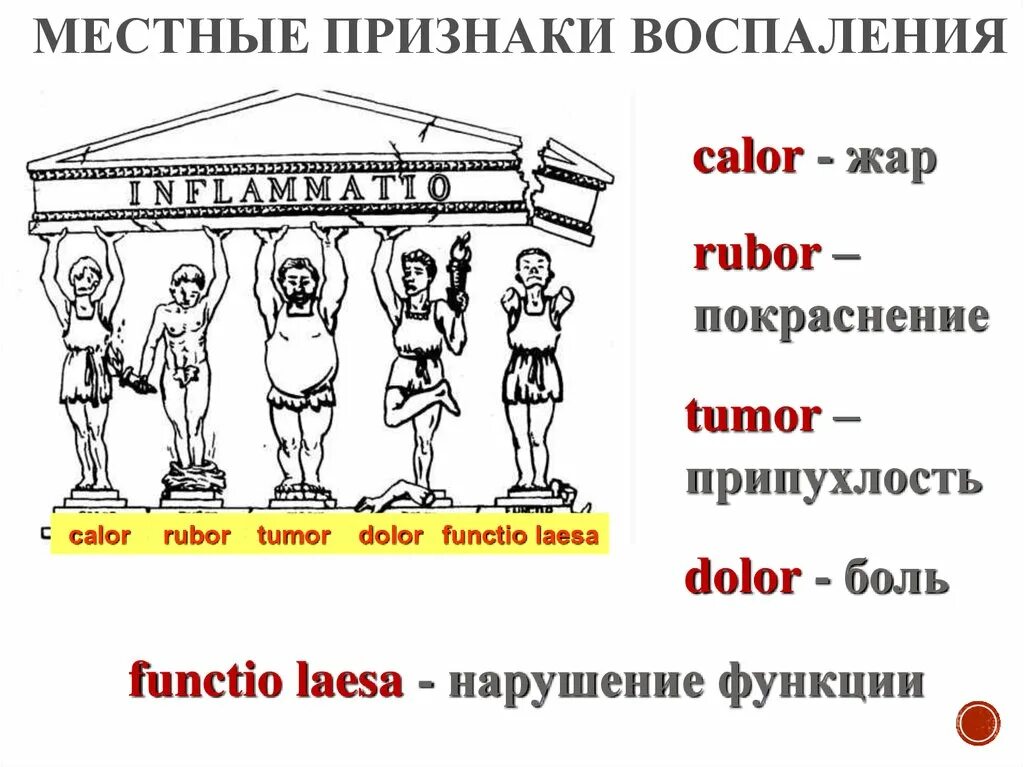 Признак воспаления dolor. Пять признаков воспаления. Rubor tumor признаки воспаления. Пять признаков воспаления на латинском. Признаки воспаления на латинском.