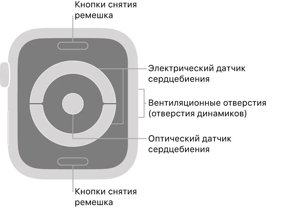 Кнопки на apple watch. Apple watch 5 микрофон. Apple watch динамик. Apple watch 7 динамик. Apple watch se wr50.