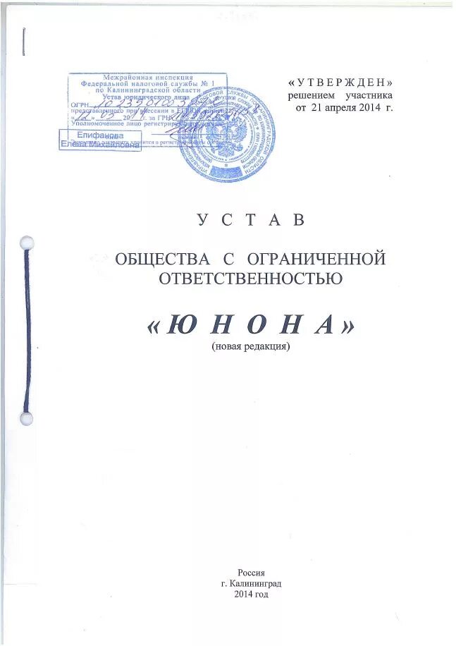 Устав организации относится к. Организационные документы устав образец. Устав организации (организационный документ). Пример организационного документа устав. Организационная документация устав пример.