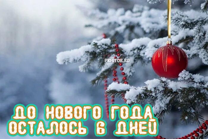 6 дней нового года. До нового года 6 дней. До нового года осталось 6. До нового года осталось шесть дней. До нового года осталось 6 дней прикольные.