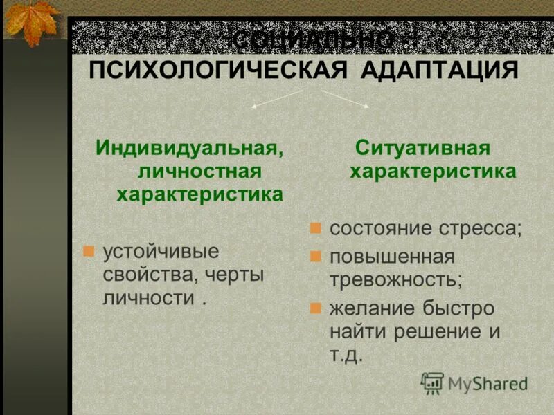 Индивидуальной адаптации. Характеристика социально-адаптированного индивида. индивидуальные адаптации примеры. вопросы для характеристики личности. частная адаптация примеры.