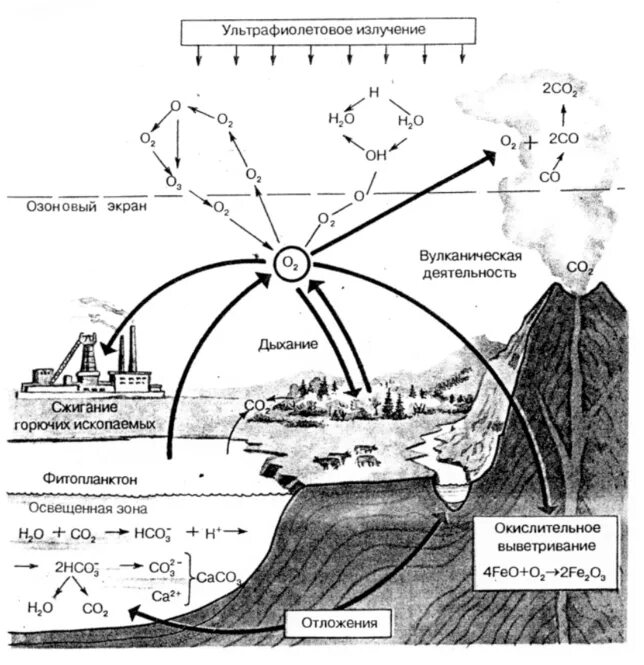 Круговорот кислорода в биосфере. , 1995). Круговорот кислорода кратко. Применение кислорода в природе. Тангу ).