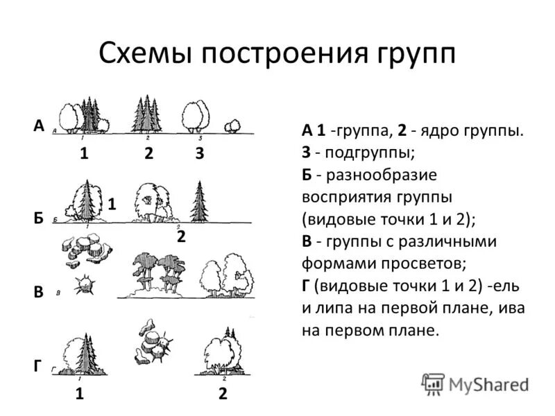 Три группы деревьев. Схемы древесно-кустарниковых групп из нескольких видов. Схема древесно кустарниковых насаждений. Группа деревьев схема. Групповая посадка деревьев.