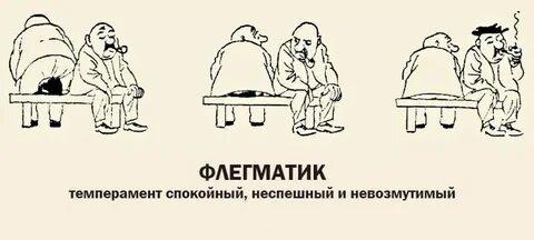 Темпераменты великих людей