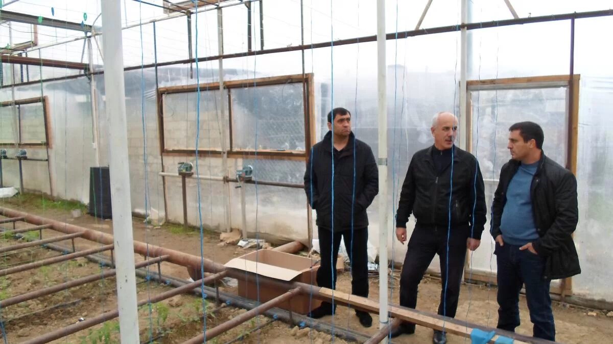 каякент улица шихсаидова. прогноз погоды в каякенте на месяц. каякентский район село каякент. кархалева каякент. село дружба каякентский район садик.