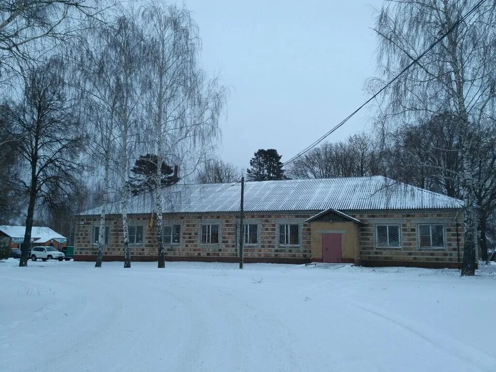 Семеновское сельское поселение рязанская. Семёновск село. Семеновское сельское поселение рязанская. Семеновский сельский клуб. Семёновское (сельское поселение бородинское).