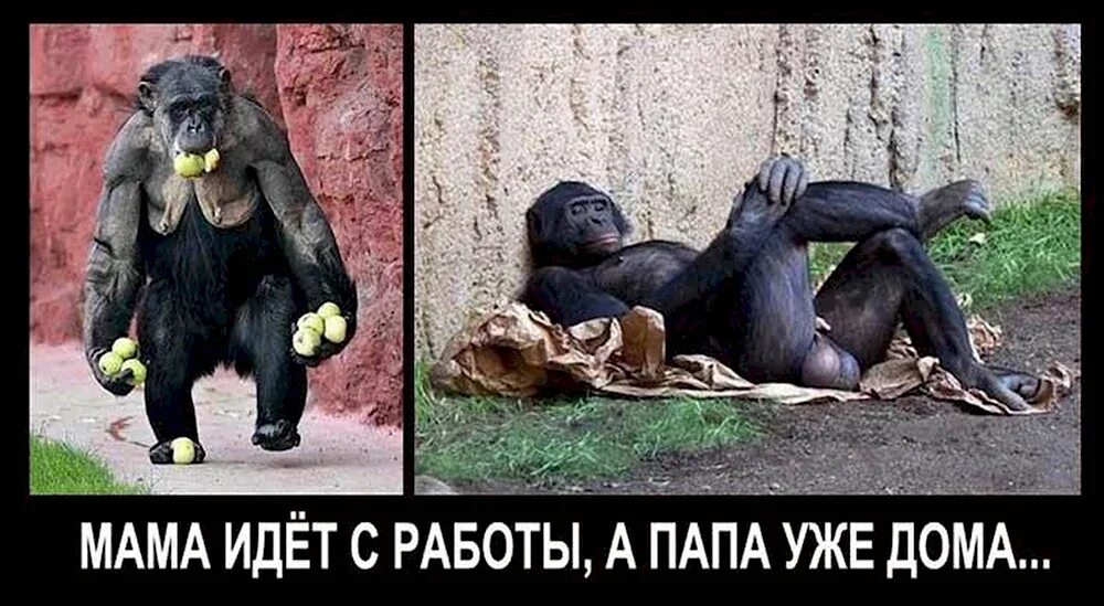 Мама картинка для детей. Родители и школьники. Папа мама пошла на работу. Мама идет с работы а папа уже дома. Дурацкие анекдоты.