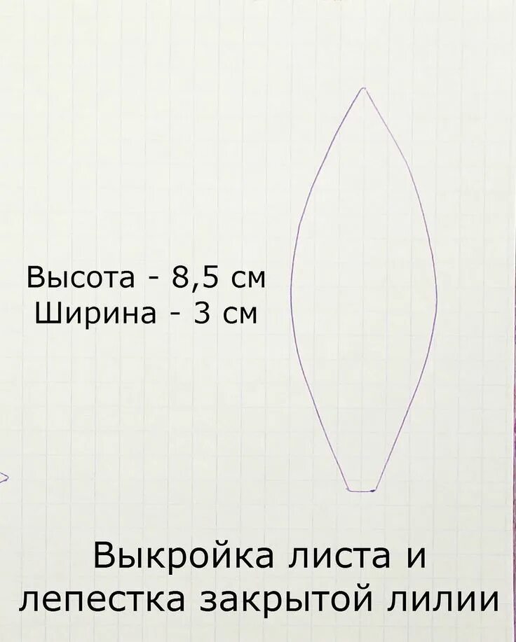 Форма листьев лилии. Лекала лепестков лилии. Трафарет лепестка лилии. Шаблон лилии из фоамирана. Лилия шаблон лепестков.