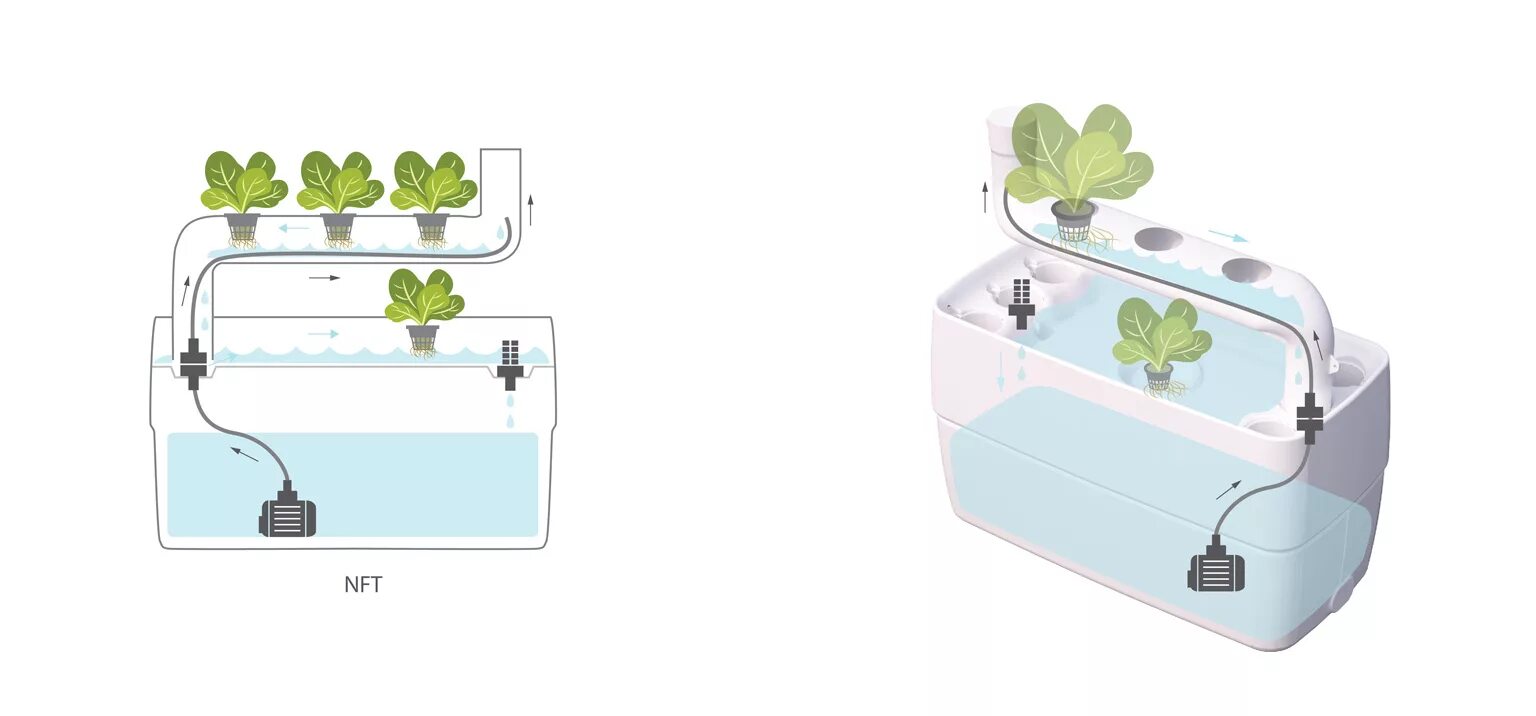 Nft схема. Nft хасбулла. Nft изображения. Pop nft. Pop nft.