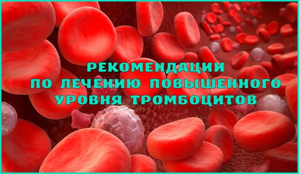 Средства повышающие тромбоциты. Тромбоциты. повышение уровня тромбоцитов. тромбоциты под микроскопом.