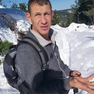Войлошниковы