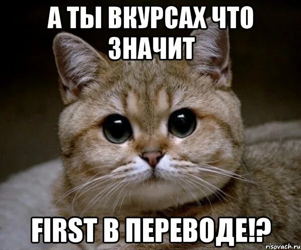 Что значит first. Мемы про перевод.