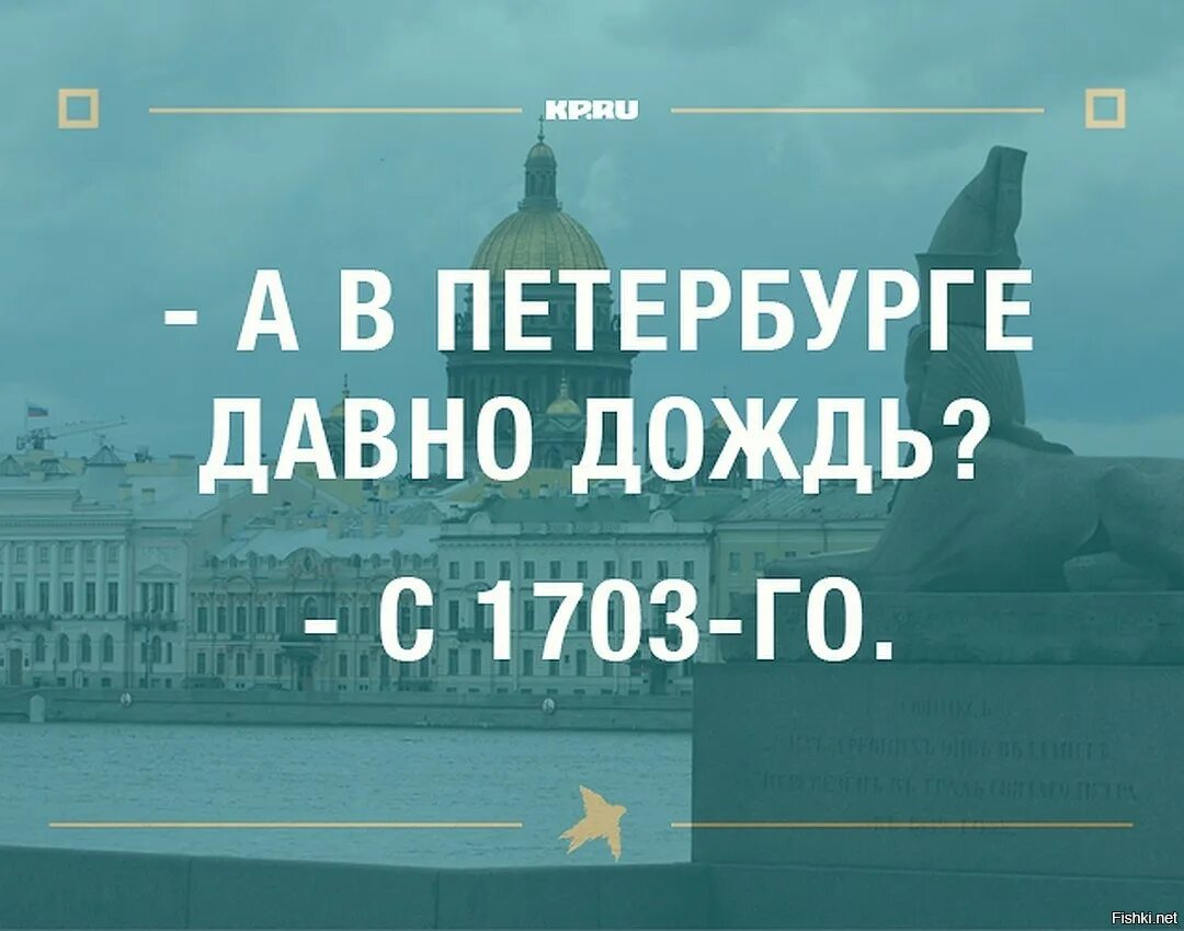 Шутки про Санкт-Петербург. Приколы про Питер. Смешной Питер. Про рогожу в Питере шутки. Фраза санкт петербурга