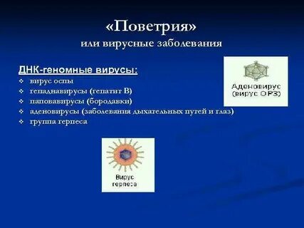Поветрие это