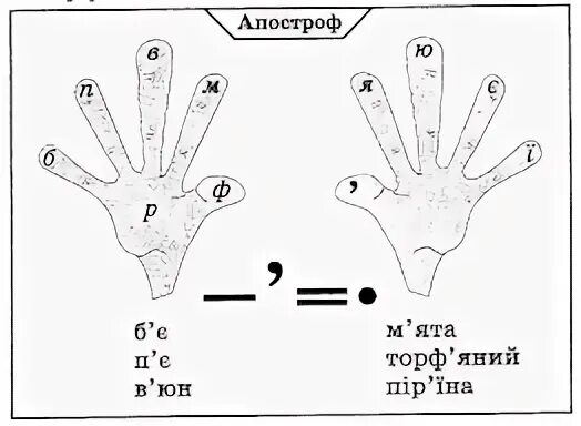 Завдання Апостроф. Правила Апострофа. Правило вживання Апострофа. Вправи на вживання Апострофа.