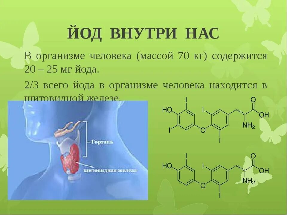 Почему йод. Йод в организме человека. роль йода в организме человека. биологическая роль йода в организме человека. поступление йода в организм.