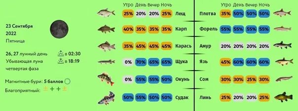 Прогноз клева рыбы в балаково. Клёв рыбы в стерлитамаке. Клев городец. Прогноз клева рыбы в балаково. Рыболовный календарь клёва.
