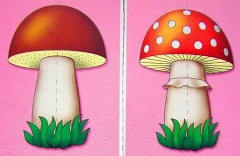 Разрезные картинки грибы