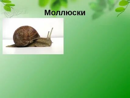 Какие животные обитают на земле 2 класс