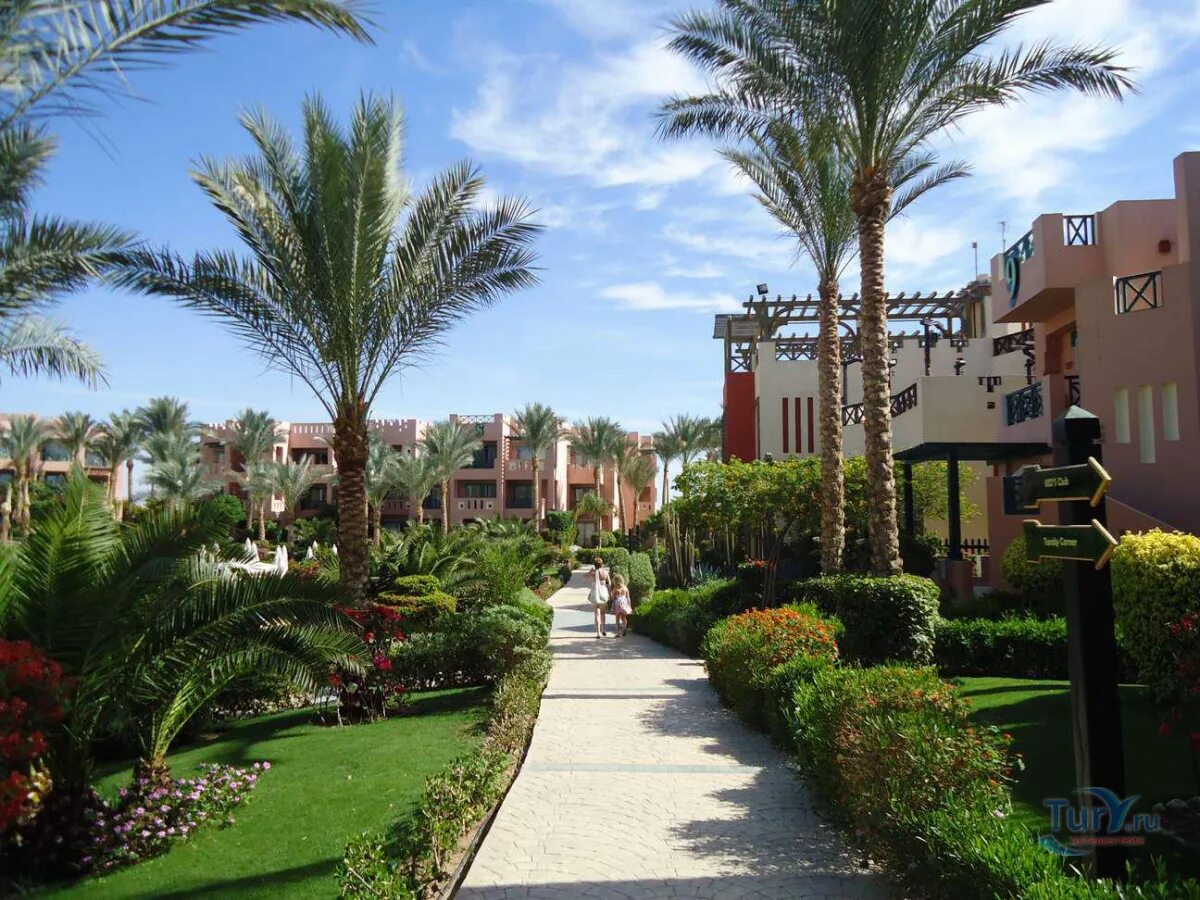 Sharm resort 4 шарм. Рехана шарм резорт шарм-эль-шейх. рехана египет 4. рехана шарм резорт 4 египет. египет рехана шарм-эль-шейх.