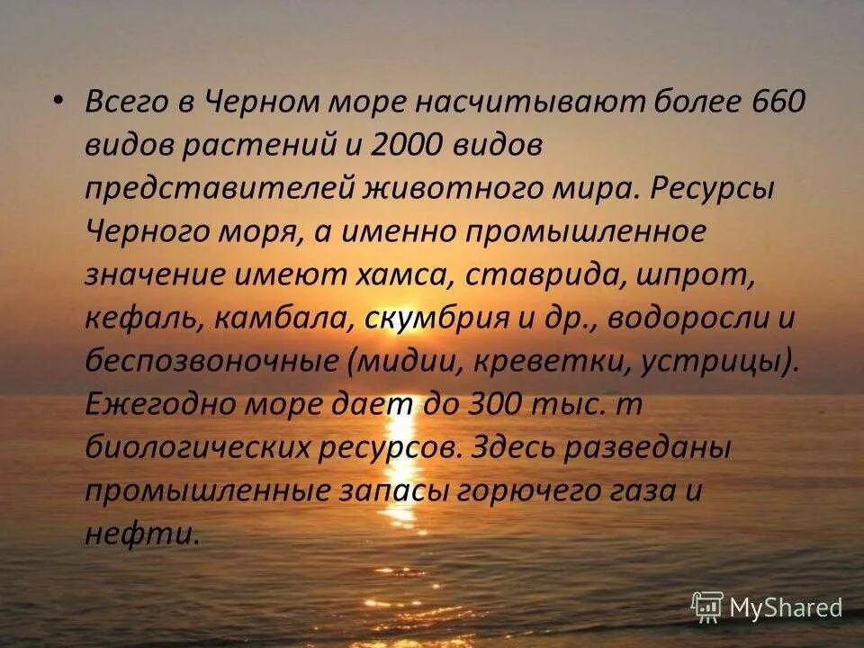 Сообщение про черное море 4 класс. Черное море доклад. черное море презентация. рассказ о черном море. соленость черного моря.