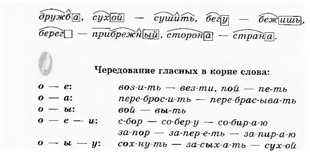 Вьюга корень слова. Чередование звуков беглые гласные. Беглая гласная в корне примеры. Чередование звуков в корне. Примеры беглых гласных.