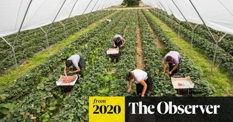 Сезонная работа на лето 2024