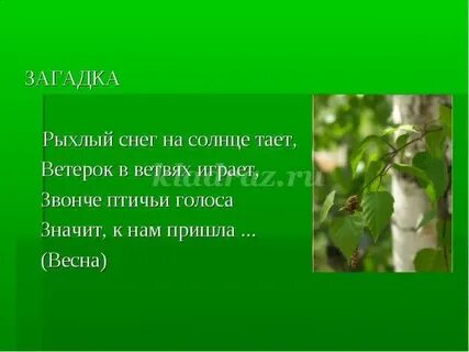 Рыхлый снег на ветвях