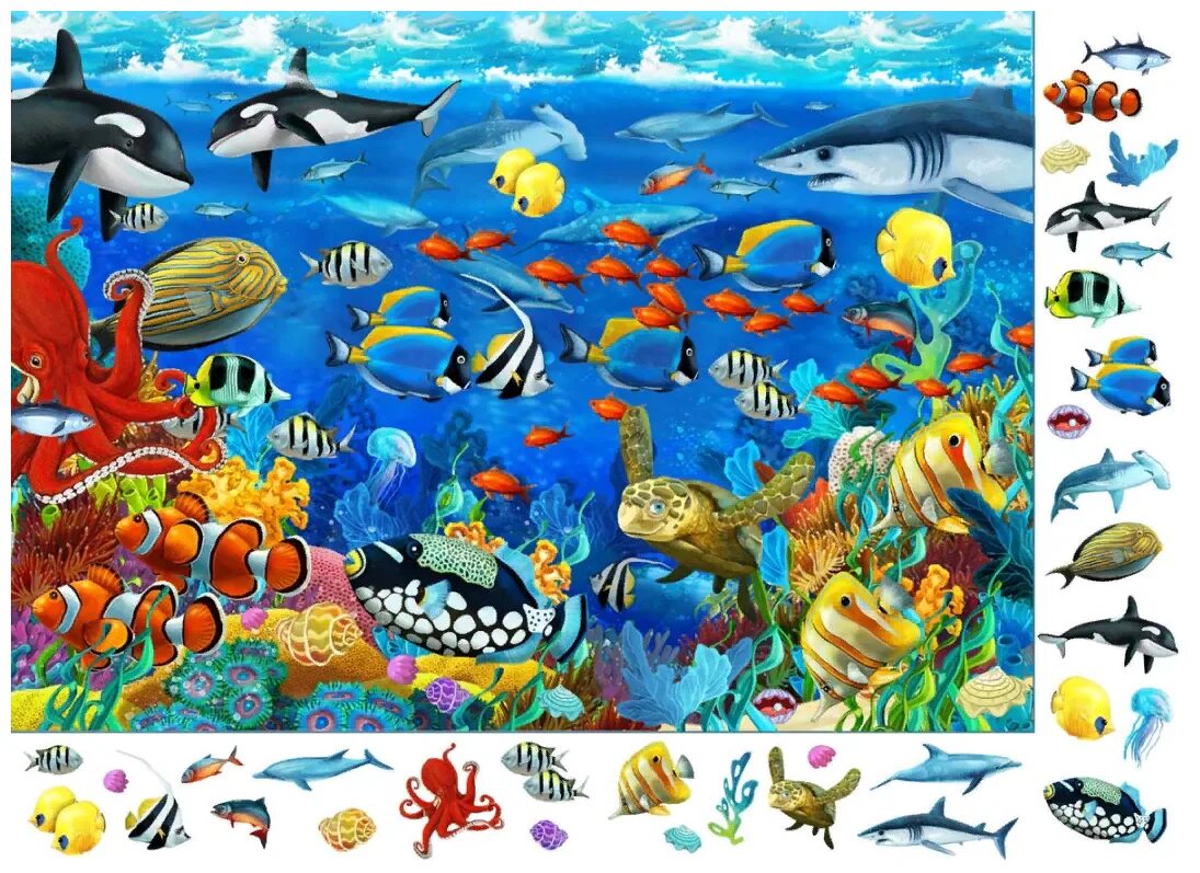 Виммельбух подводный мир. Обитатели моря виммельбух. Обитатели океанов для детей. Виммельбух рыбы.