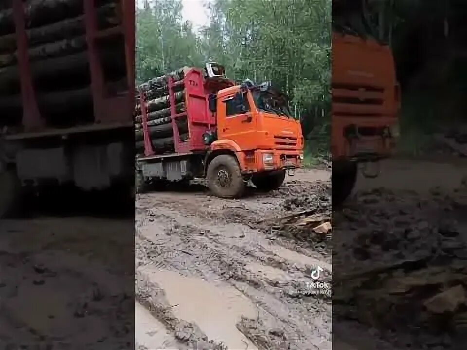 Макс вертиго лесовозам. Северный дальнобой. Макс вертиго певец. Концерт макс вертиго. Сплошная полоса макс вертиго.